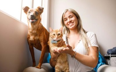 Desexing My Pet: Frequently Asked Questions