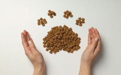 Pet Nutrition for Optimal Health