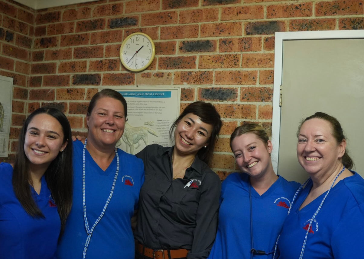 Meet the Rossmore Vet Team