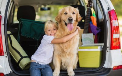 Travelling with Pets This Winter: Prepare Before You Hit the Road